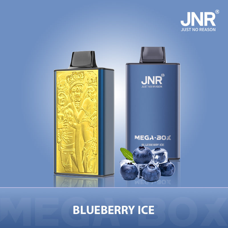 JNR Mega Box 25000 Puffs Disposable Vape - Flavour