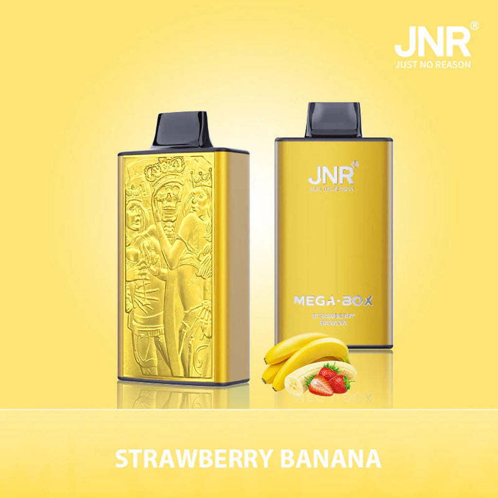 JNR Mega Box 25000 Puffs Prefilled Vape Pod Kit - Box of 10
