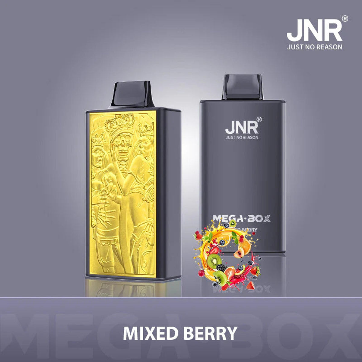 JNR Mega Box 25000 Puffs Prefilled Vape Pod Kit - Box of 10