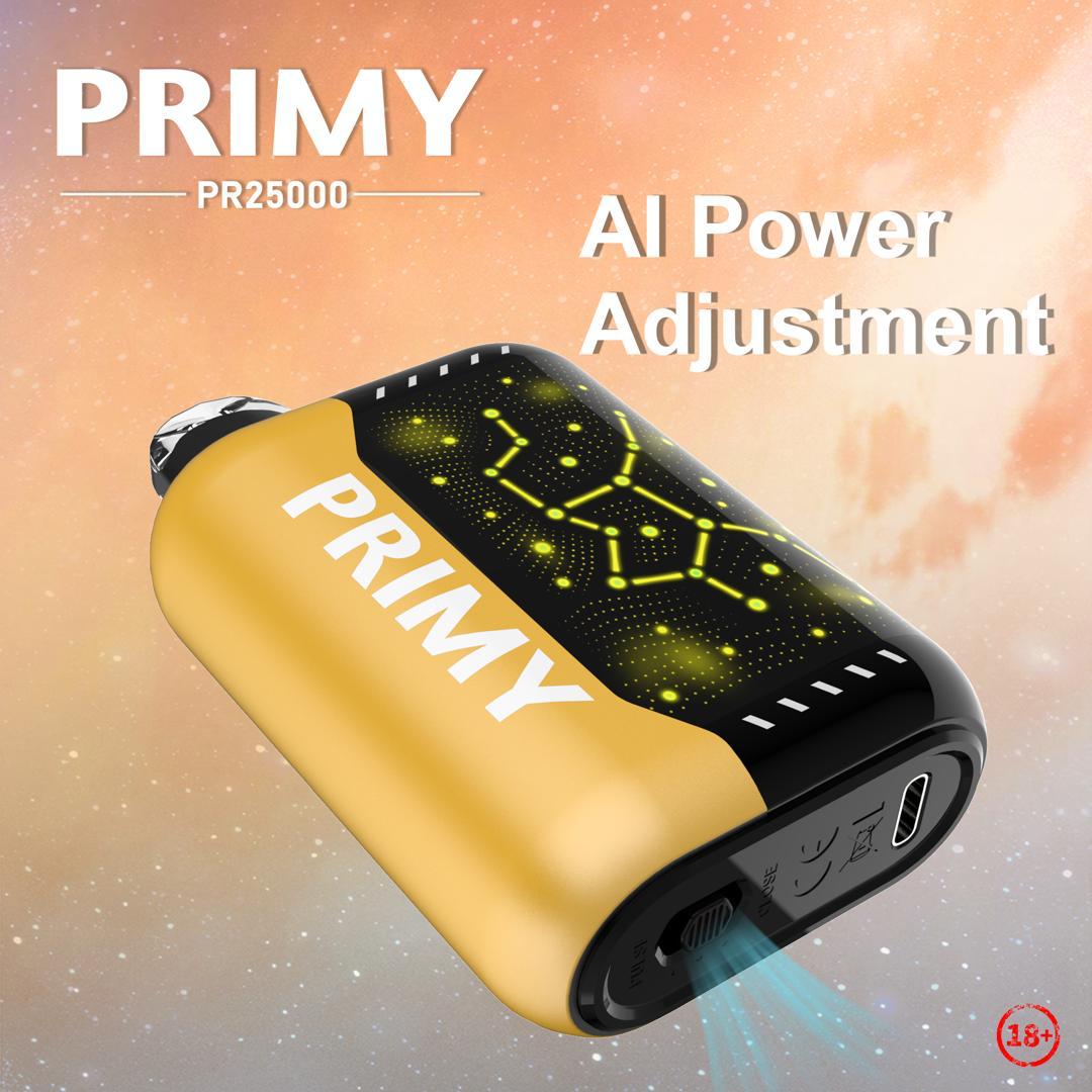 Primy PR25000 Puffs Prefilled Vape Pod Kit - Box of 5