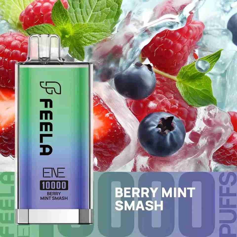 Feela ENE/Elux 10000 Puffs Prefilled Vape Kit - Box of 10